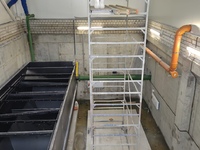 Реконструкция предприятия общественного питания под рыбоперерабатывающий комплекс